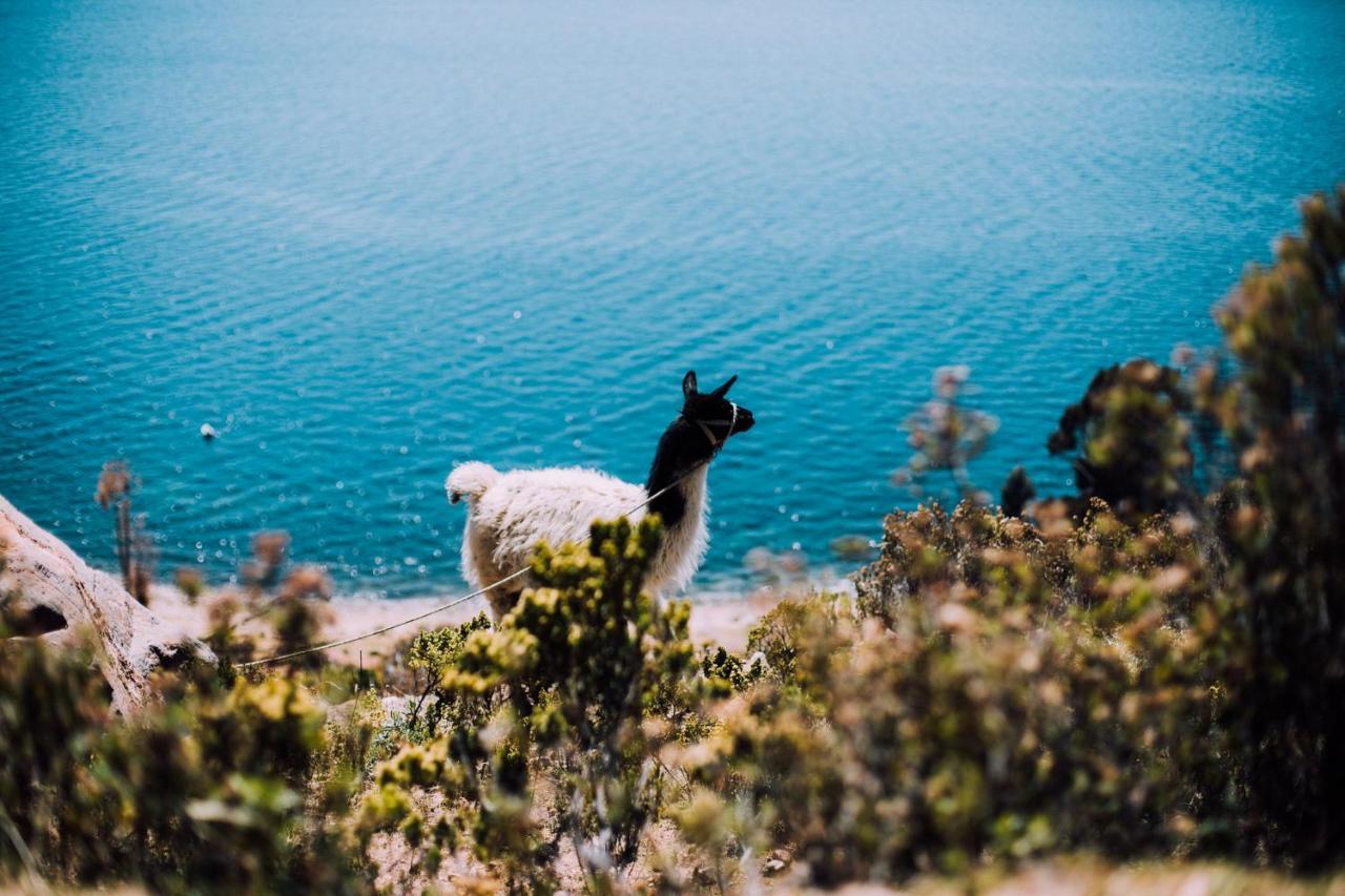 Ecolodge La Estancia Comunidad Yumani Eksteriør bilde
